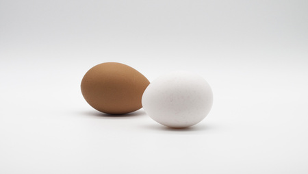 brown and white eggの写真素材