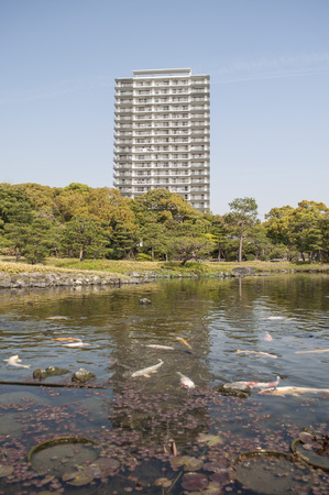 lake with fishの写真素材
