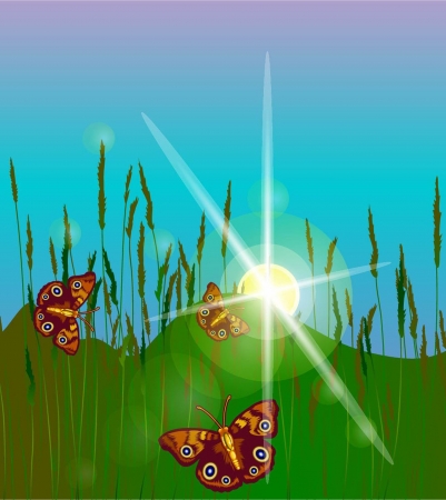 butterflies and sunのイラスト素材