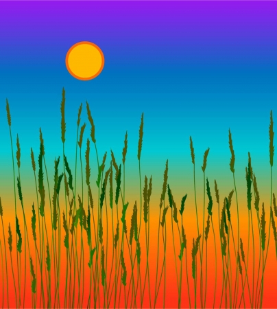 natureのイラスト素材