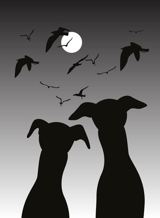 two dogsのイラスト素材