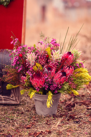 decoration colorful flowerの写真素材