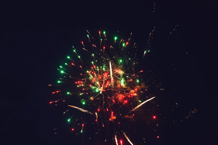 Colorful fireworks on the black sky background