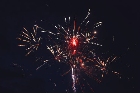 Celebratory bright firework in a night sky.