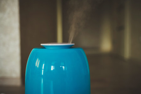the steam from the humidifier. health. copy spaceの写真素材
