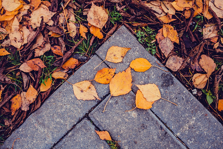 Autumn leaves over old stone backgroundの写真素材