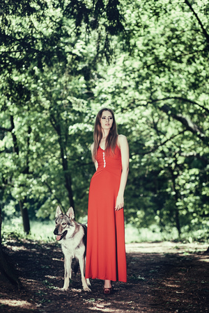 attractive lady in red dress with wolf dogの写真素材