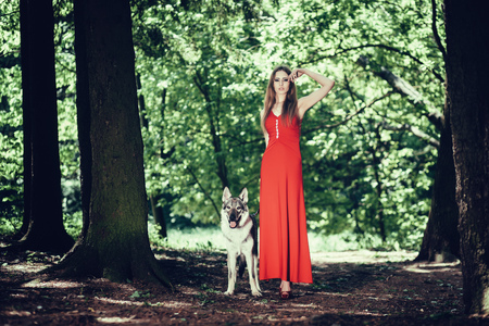 full-length portrait of an elegant woman in a red dress with a dogの写真素材