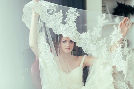 The charming bride with veil indoorの写真素材
