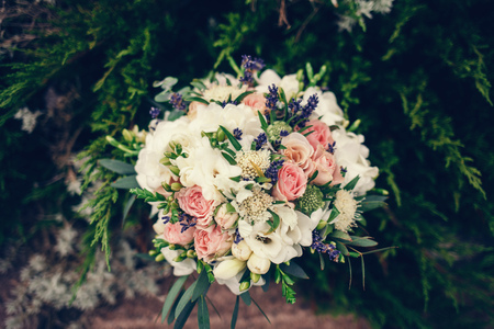 Wedding bouquet in botanical gardenの写真素材