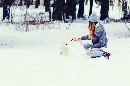 beautiful woman playing with a white Terrier in a snowy woodsの写真素材