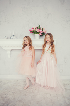 Two cute little girls standing in the studio.の写真素材