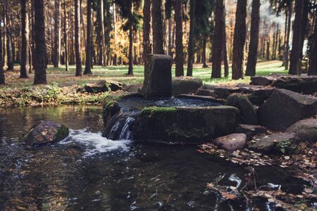 the source of the river begins in the autumn forestの写真素材
