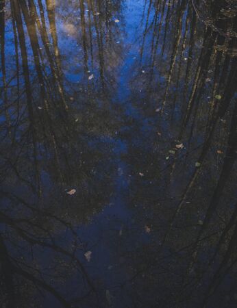 autumn landscape. the trees are reflected in the blue waterの写真素材