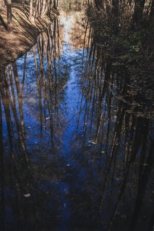 blue river with reflected trees in autumn forestの写真素材