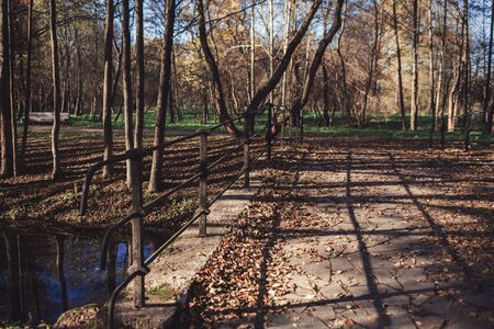 old stone bridge over the river in autumn Parkの写真素材