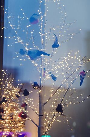 Christmas showcase with decorated tree and lights. Christmas decor.の写真素材