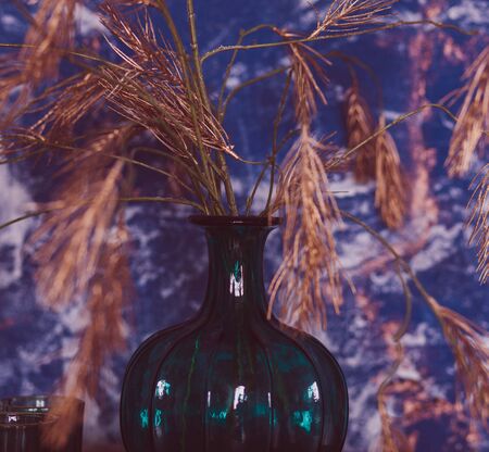 Home interior decor in living apartment, blue vase on the table
の写真素材