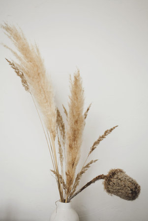 spacious living room with a classic table and chairs in a Scandinavian interiorの写真素材