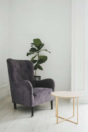 Modern armchair against white wall in living room interior with plantsの写真素材