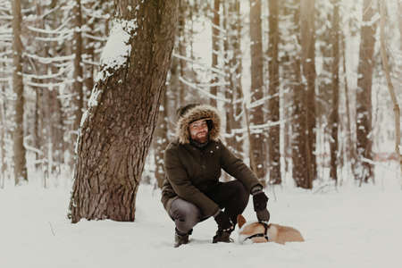 Welsh corgi pembroke dog walking nicely on a leash with an owner during a walk in winter parkの写真素材