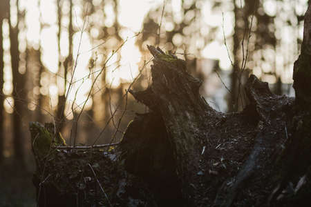 asphalt road with removed surface. road resurfacing.の写真素材