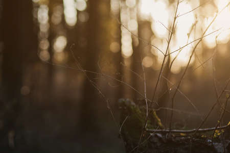 asphalt road with removed surface. road resurfacing.の写真素材