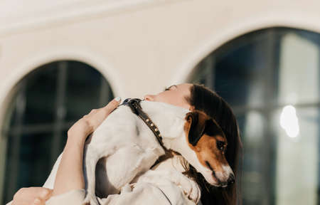 Young woman playing with terrier dog outdoors in the park.の写真素材