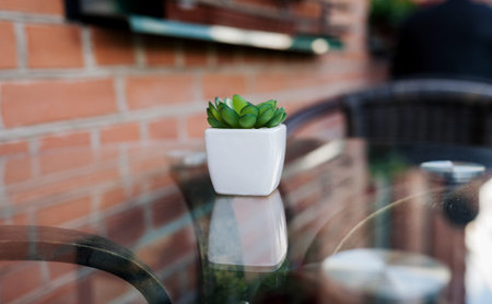 Terrace with a table in a cafe or at home. Succulents outdoors, landscape design concept