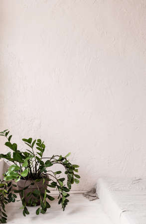 Simple and cozy interior of the room. The idea for the arrangement of furniture in the apartment. Advertisementの写真素材