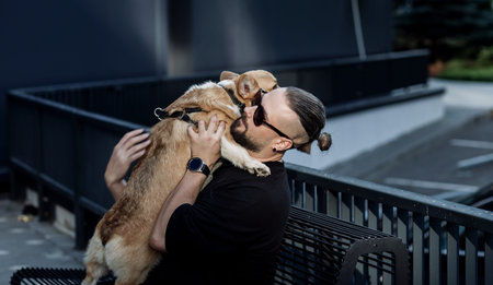 Little corgi dog portrait. Pet care concept. Corgi sitting on stairsの写真素材