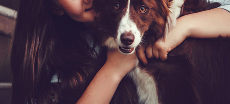 Young woman and collie dog in park, she is hugging and kissing him. vintage color.