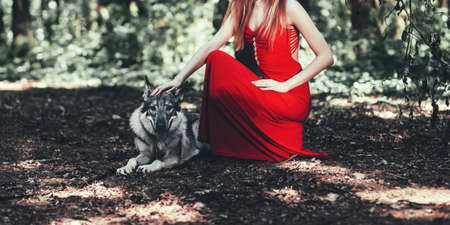 Mysterious woman in dress sitting with gray dog. friendshipの写真素材