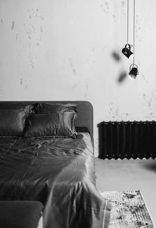 residential real estate. black and white modern architectureの写真素材