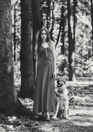 beautiful woman in black dress with dog wolf in the forestの写真素材