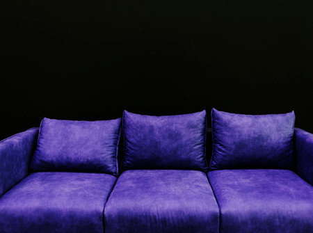 leather sofa on dark interior. classic couchの写真素材