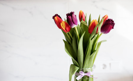 Beautiful tulips on light gray wall. flower background. warm colors. copy spaceの写真素材