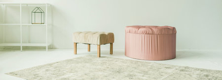 Cozy space for relax in living room with two armchairs. comfortable apartmentの写真素材