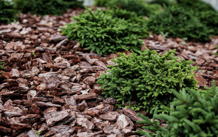 Park landscaping wood bark. Garden maintenance in spring doing the mulchingの写真素材