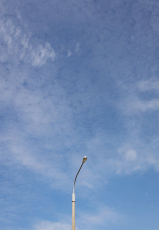 Lighting street on sky background. urban lamp postの写真素材