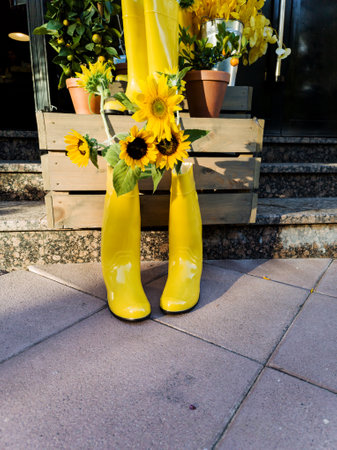 bright decorative sunflowers in rubber boots standing on tileの写真素材