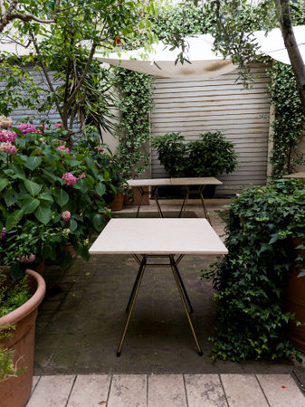 Cozy table with plants in courtyard in small townの写真素材
