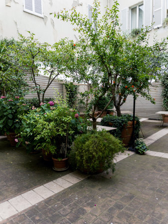 cozy outdoor cafe with tables surrounded by trees and plants in the backyardの写真素材