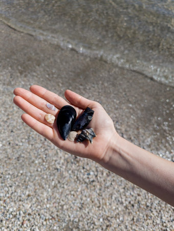 A close-up show hand holding shells collected during a walk on the beachの写真素材