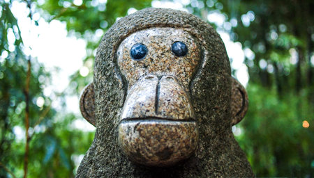 Monkey Statueの写真素材