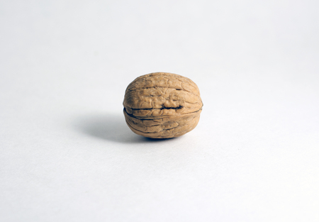 Single Walnut Isolated on White Backgroundの写真素材
