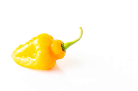 Yellow Chili Peper White Backdropの写真素材