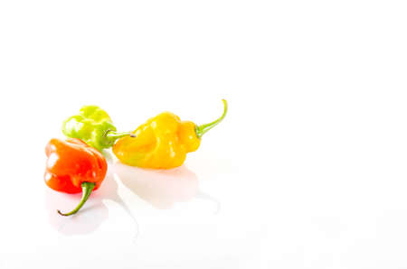 Colorful Chili Peper White Backdropの写真素材