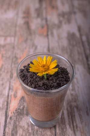 Chocolate mousse with crushed chocolate cookies (wooden backgound)の写真素材