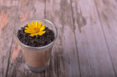 Chocolate mousse with crushed chocolate cookies (wooden backgound)の写真素材